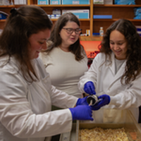 Faculty Spotlight: Health Sciences Prof. Victoria Wolf