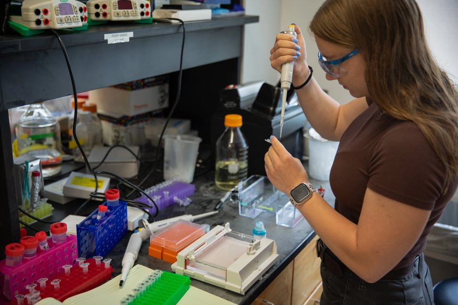 Sarah Marcus ’26 conducts research in Prof. Kate Buettner’s chemistry lab during X-SIG.